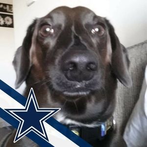 Meet your Posher, Scott